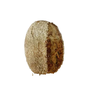 »Vörder Kruste« von Brotstern