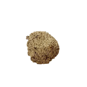 »Augustendorfer« von Brotstern