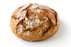 Kleine Knolle von Lene´s Biobackstube